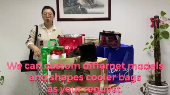 Confezione da 6 confezioni personalizzate di borse termiche per pranzo isolate in tessuto non tessuto all'ingrosso in Cina
